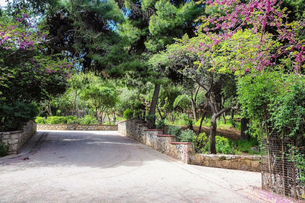 Charming Apartment Near Panathenaic Stadium Exterior photo